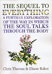 Sequel To Everything Photo