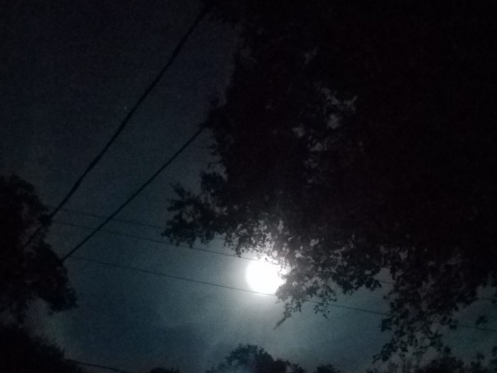 Hunter Moon Image Two