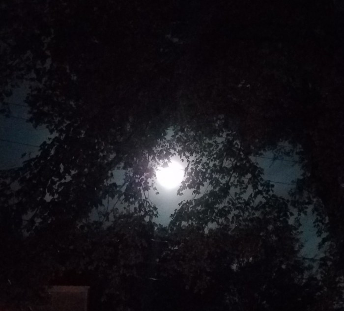 Hunter Moon Image Three