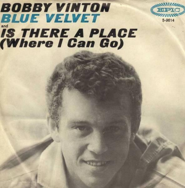 Bobby Vinton Image