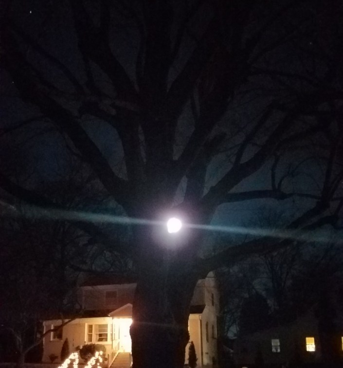 Cold Moon Image Three