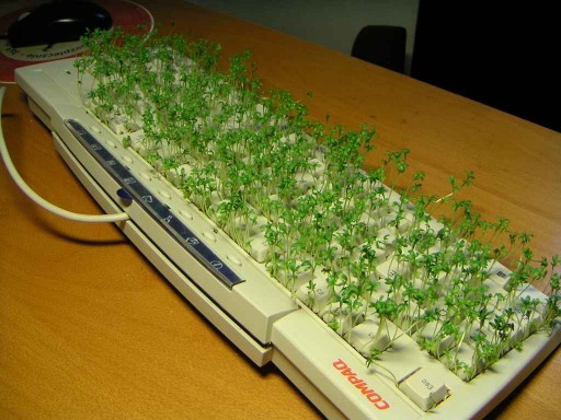 Green Keyboard Image Five