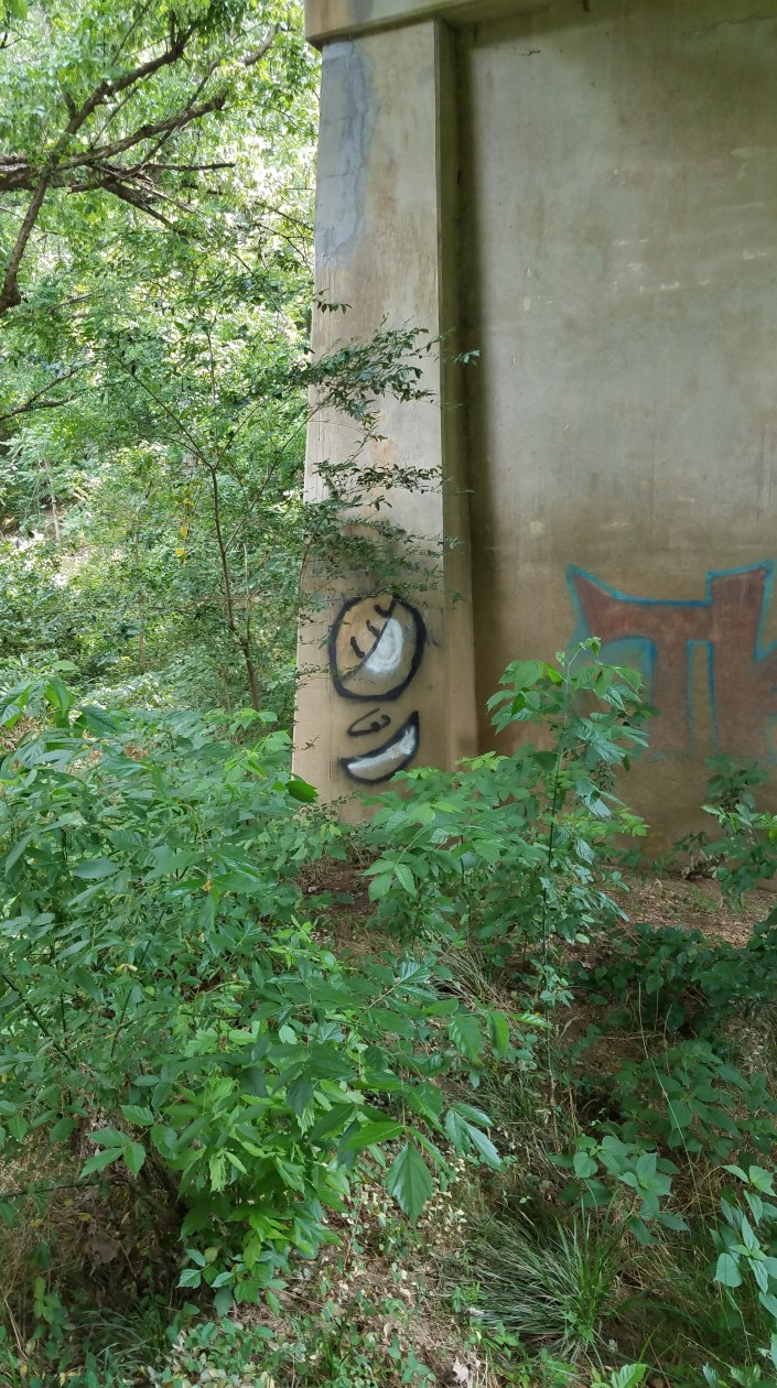 One-Eyed Smile Image Five