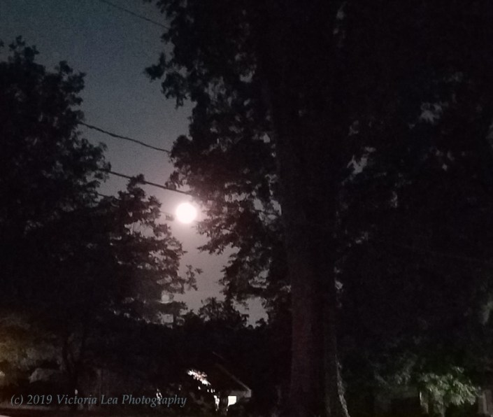 Strawberry Moon Image Three