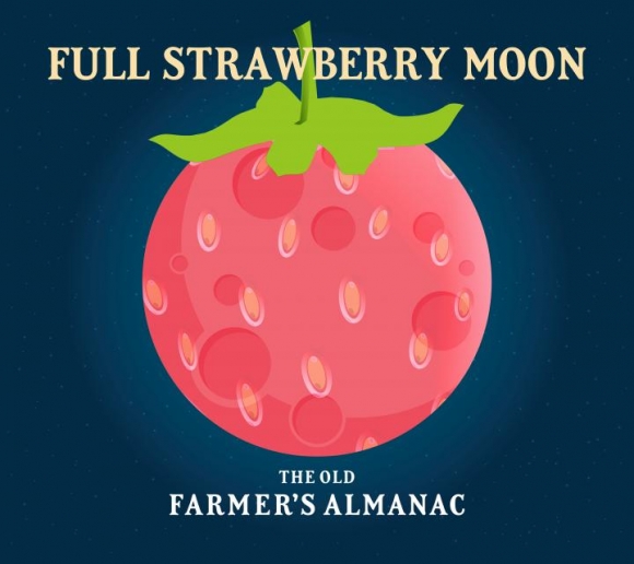 Farmers Almanac Strawberry Image Two