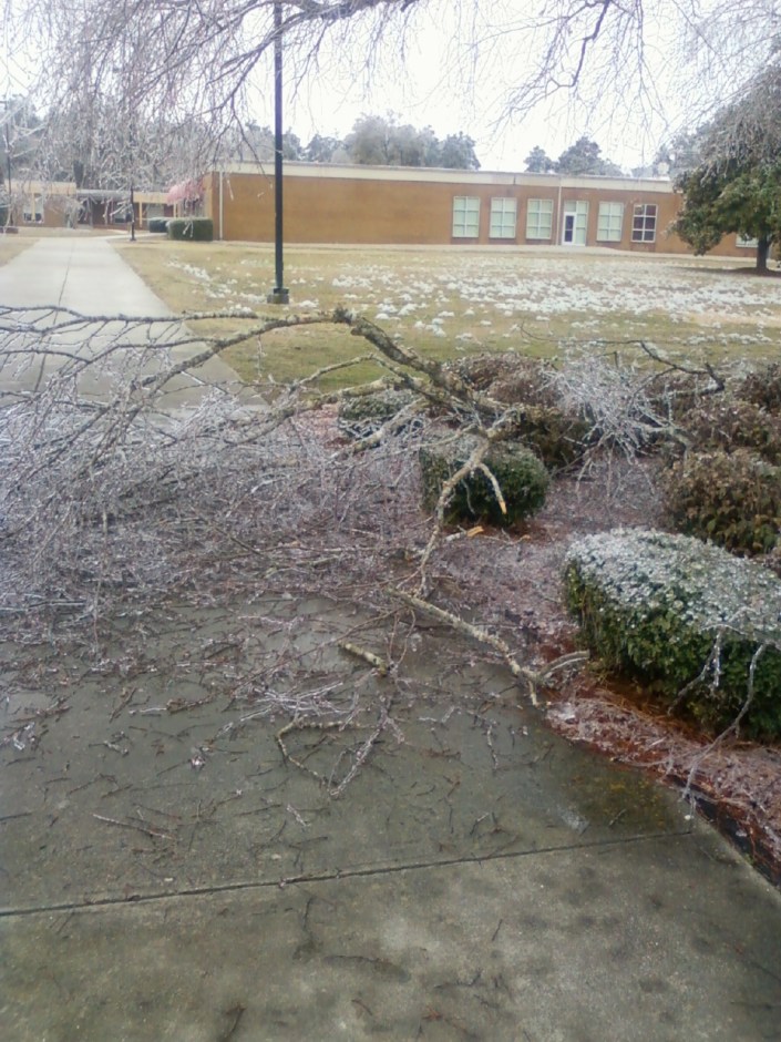 Frozen Walkway Image Two