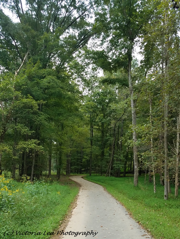Riverwalk Path Image Two