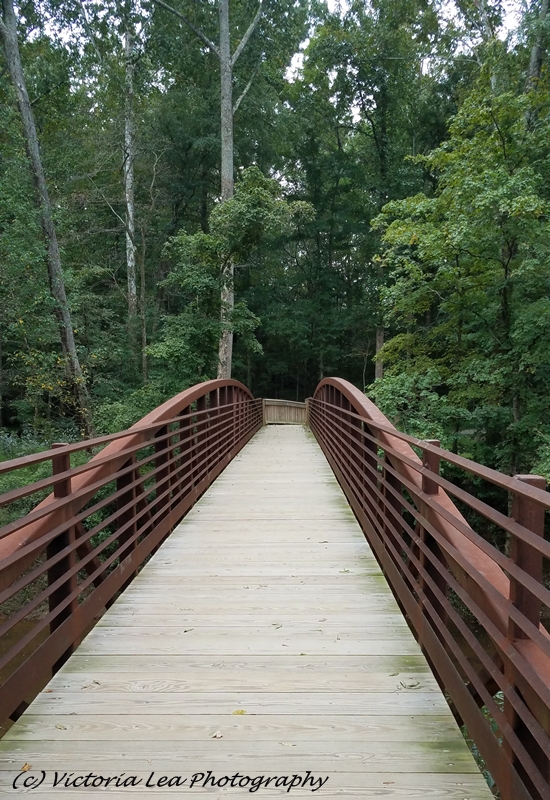 Riverwalk Bridge Image Four