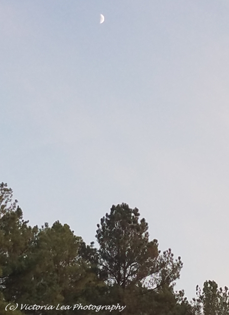 Waxing Crescent Moon Image Two