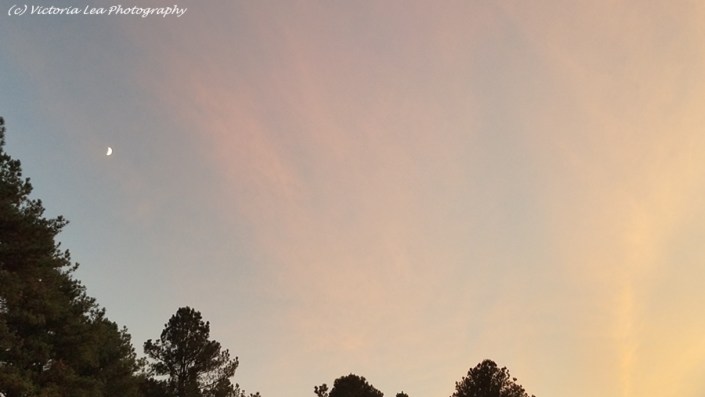 Glowing With The Moon Image Three