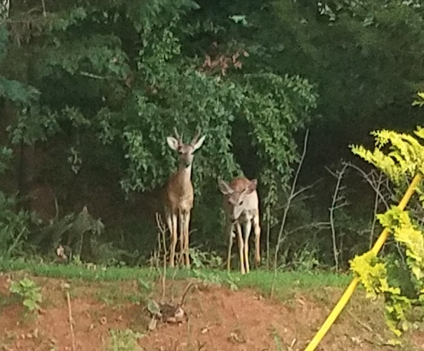 Cute Pair Image Three