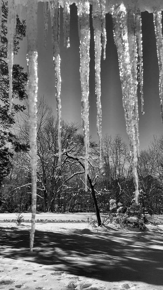 Icicles Image Four