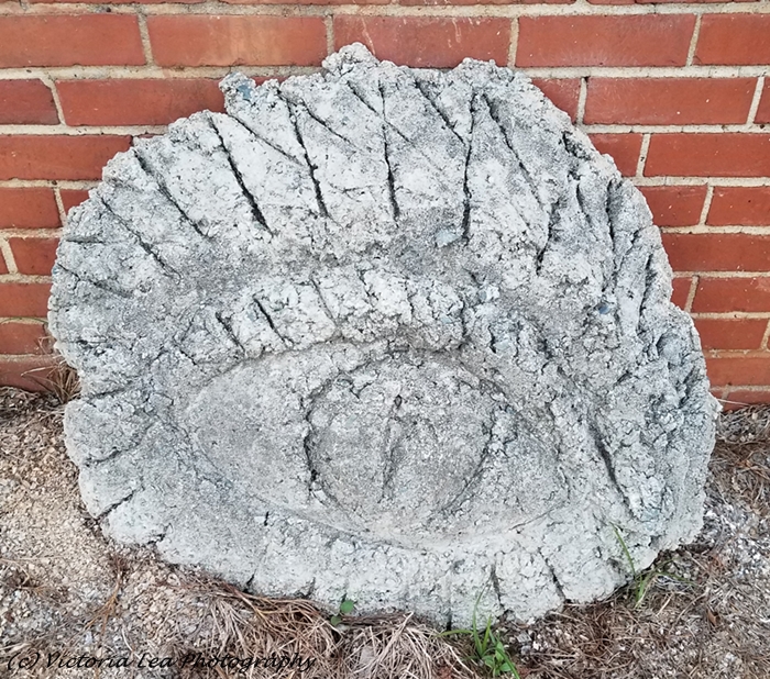 All Seeing Eye Image