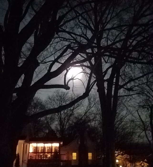 Worm Moon Image Three