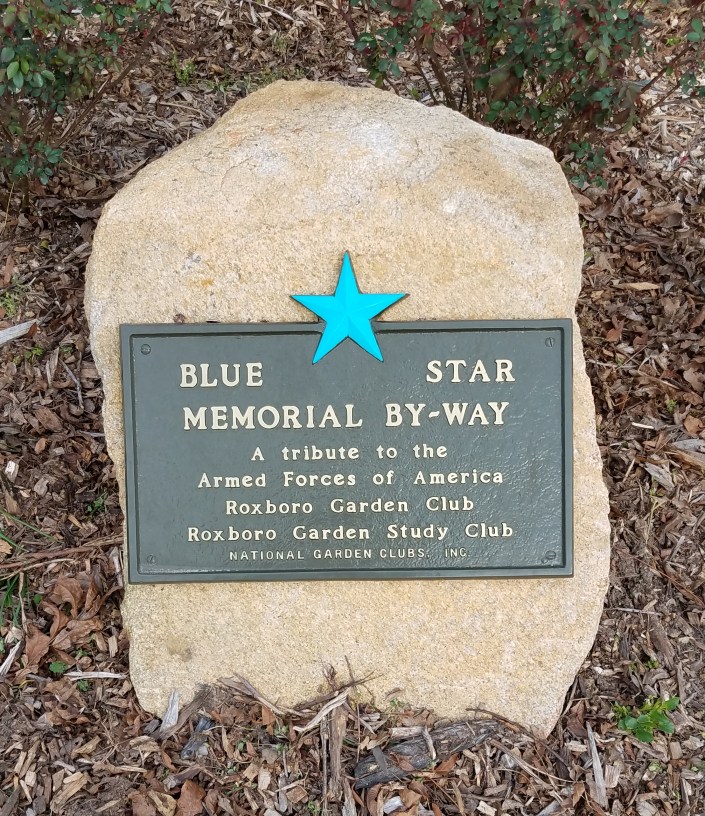 Blue Star Image Three