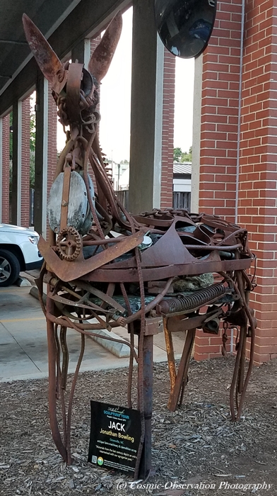 Jack The Jackass Image