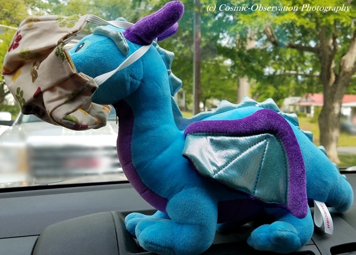 Covered Dragon Image