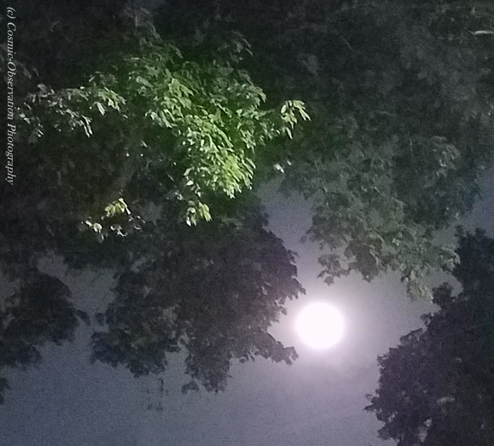 Flower Moon Image Two