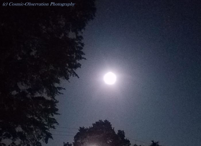 Flower Moon Image One