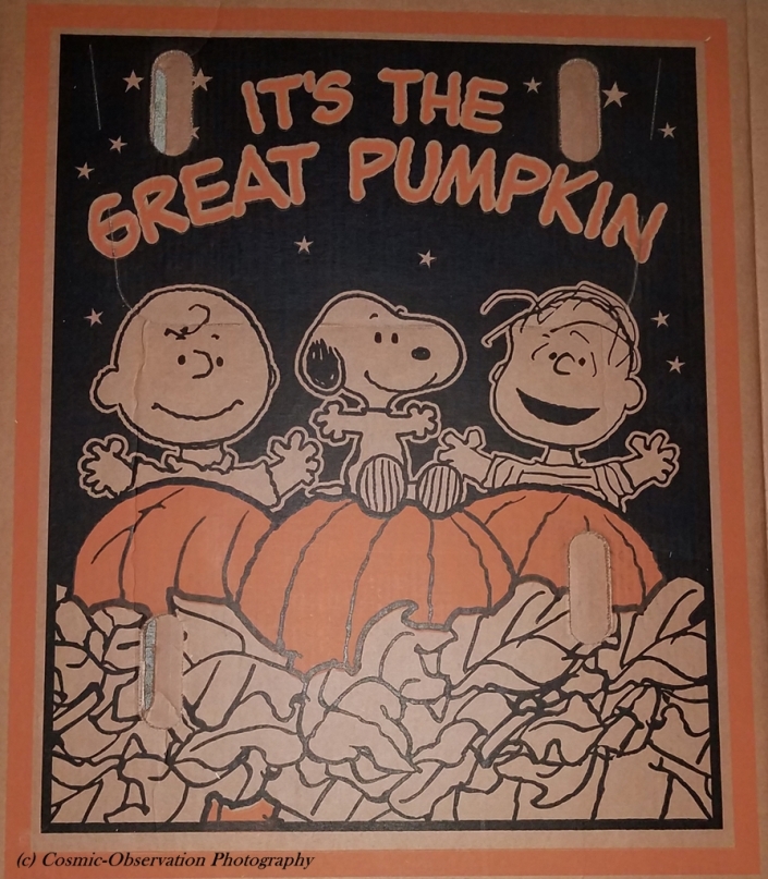 Great Pumpkin Image Four