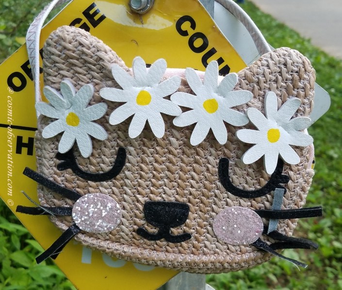 Hello Kitty Bag Image