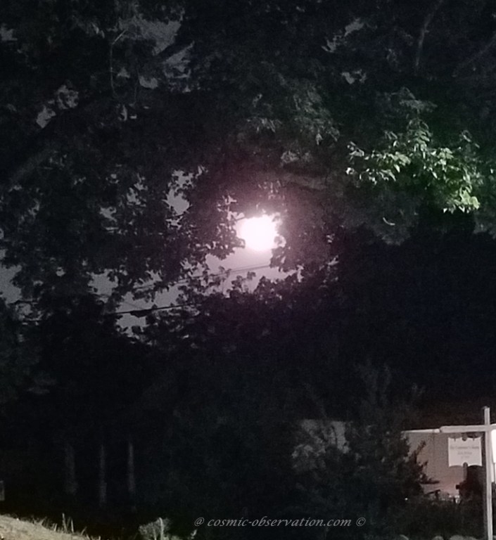 Flower Moon 2021 Image Two