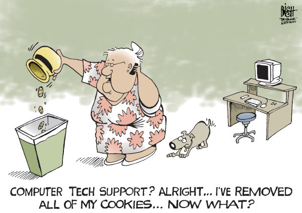 Deleted Cookies Image Two