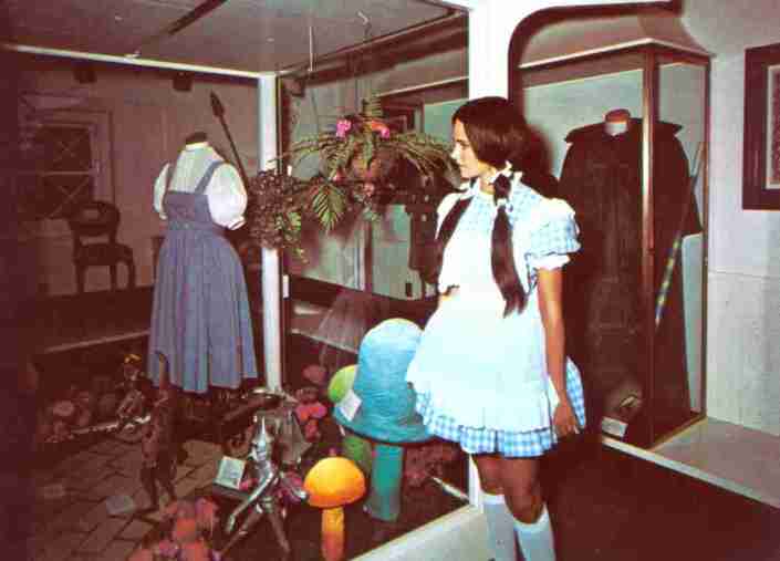 Dorothy's Dress Image Two