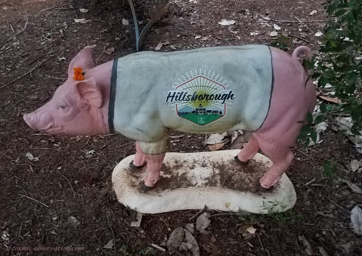 Hillsborough Pig Image