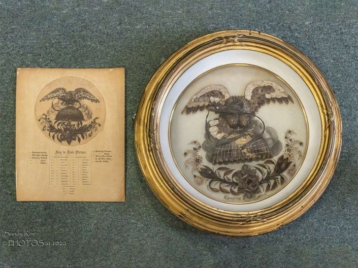 The Hairy Eagle Image Three