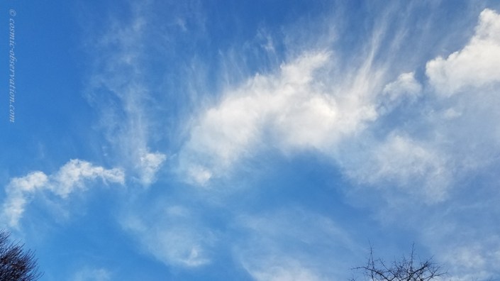 Big Feather Image Two