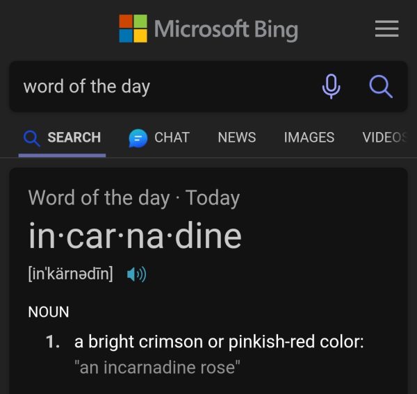 Bing Word of the Day