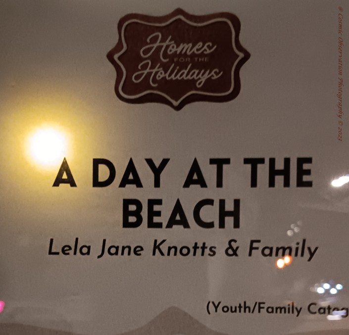 Homes For The Holidays