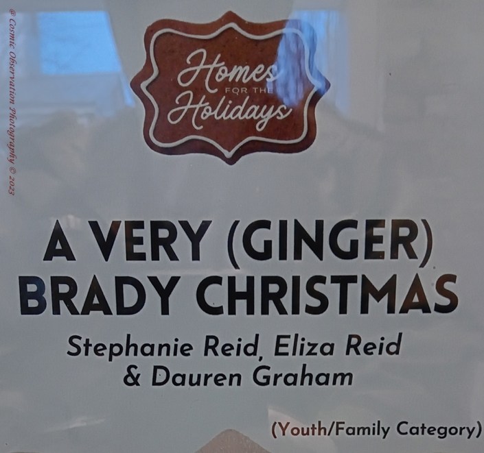 Homes For The Holidays