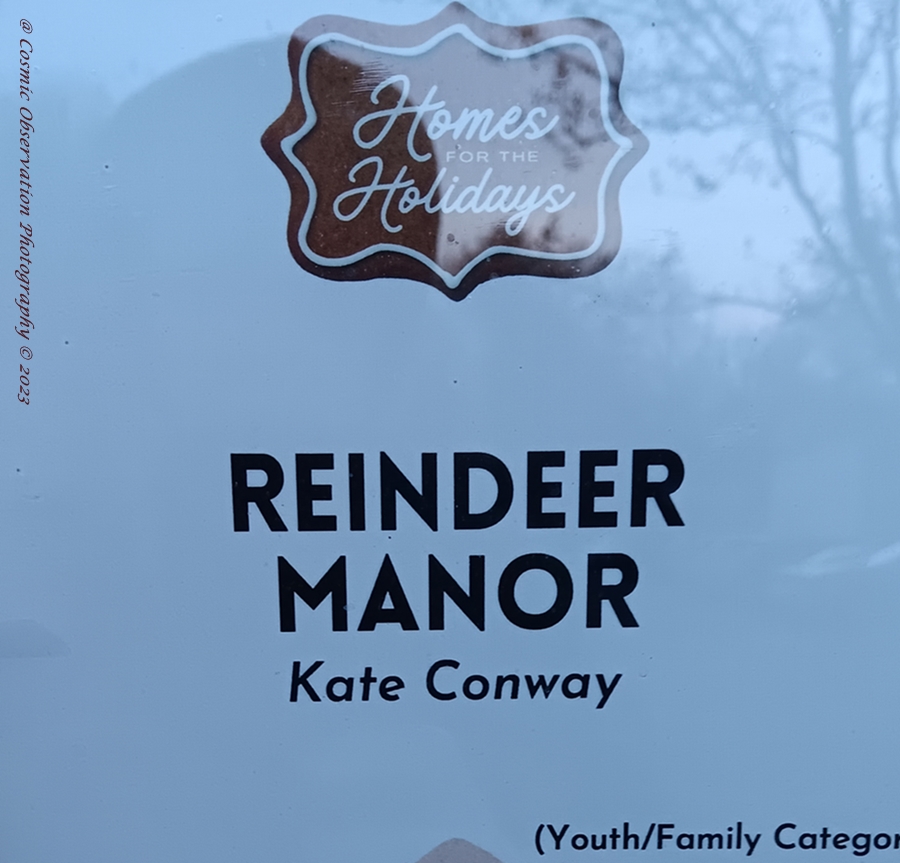 Homes For The Holidays