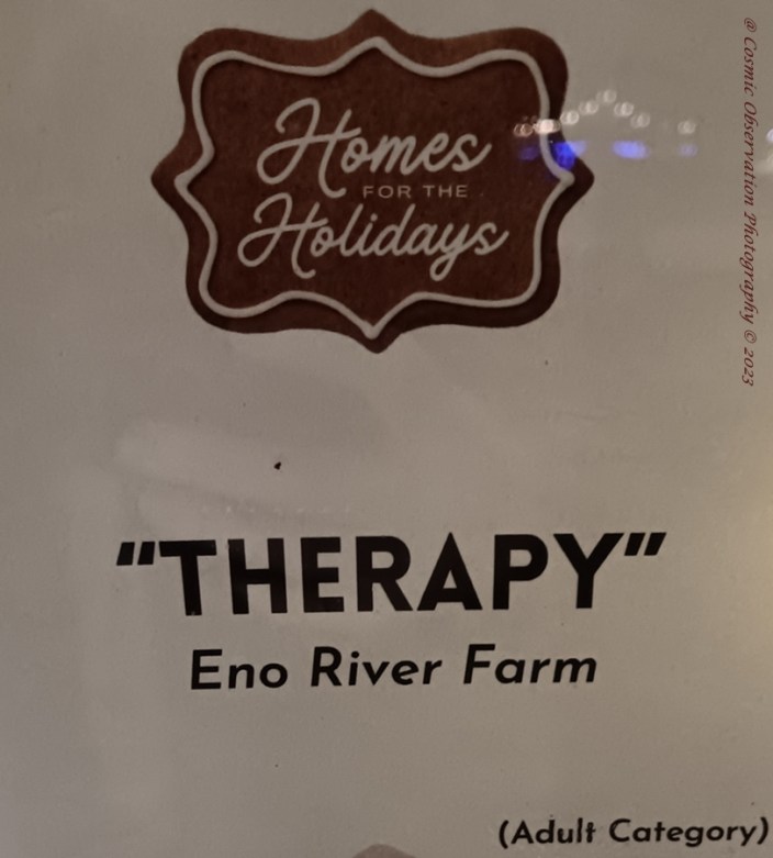 Homes For The Holidays